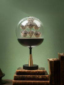 7 Pufferfish in Glass Globe Taxidermy