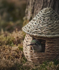 Natural Green Hanging Bird House