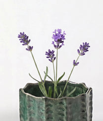 Cactus Small Bowl