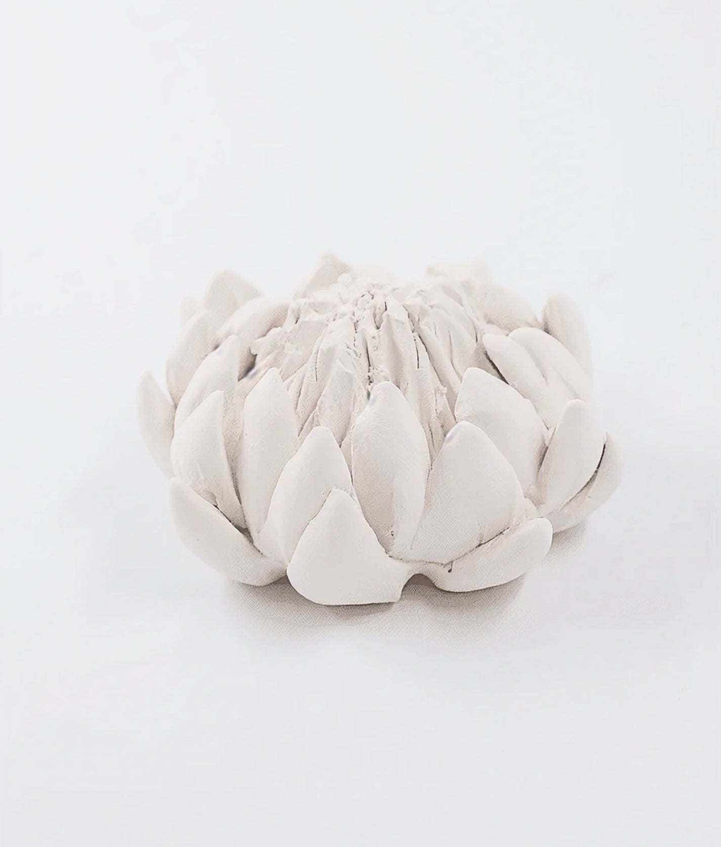 King Protea Porcelain Ornament