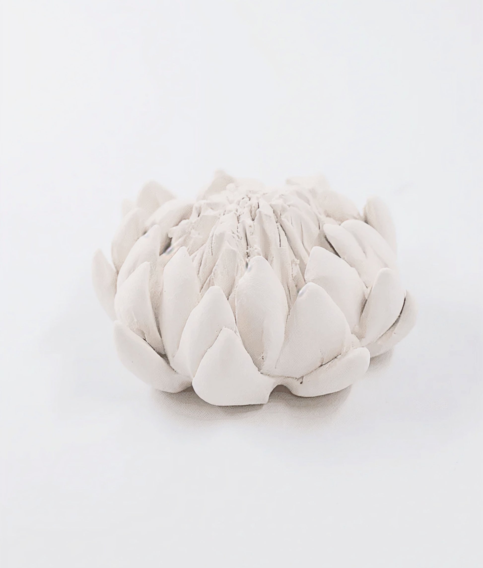 King Protea Porcelain Ornament