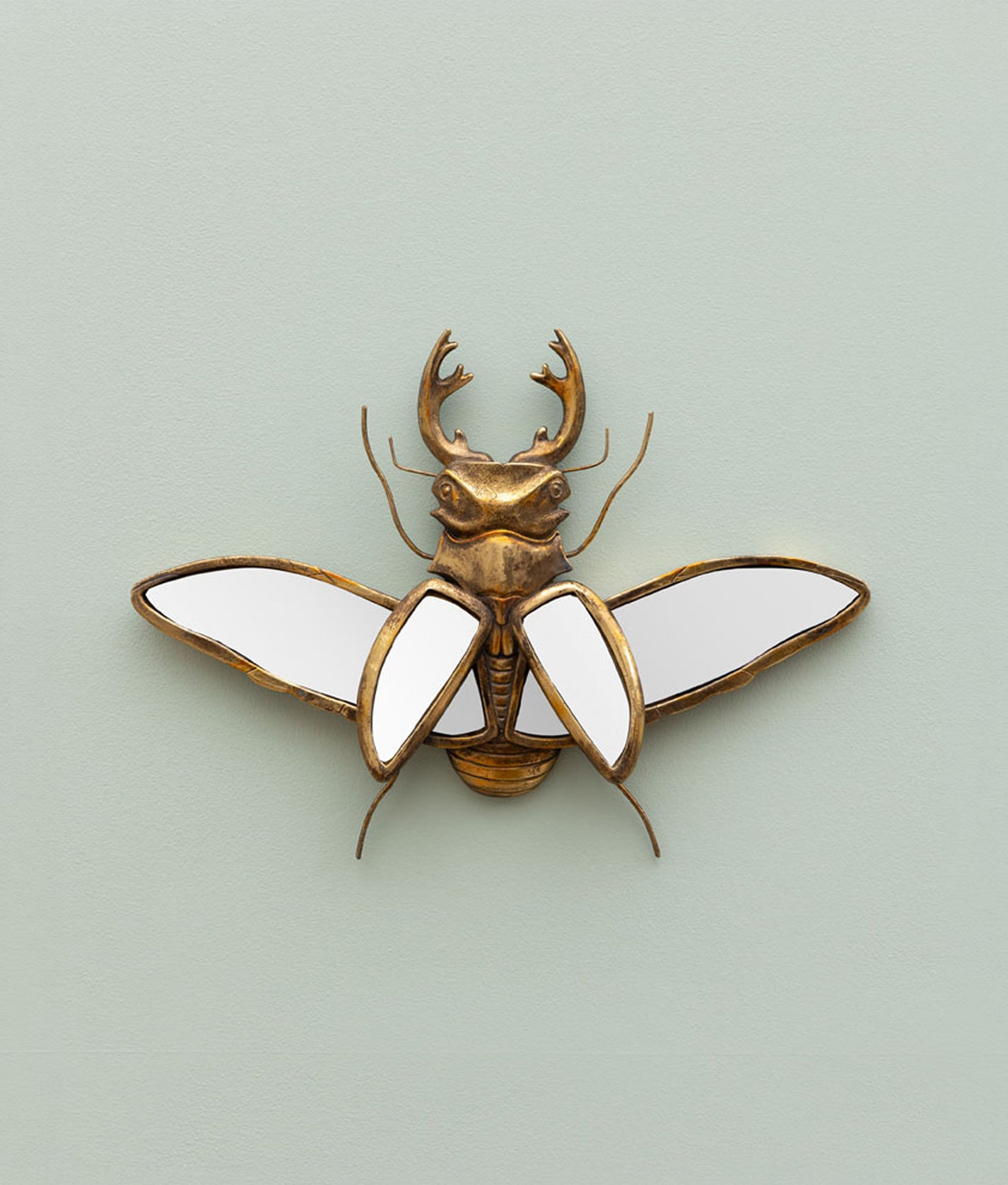 Mirrored Stag Beetle
