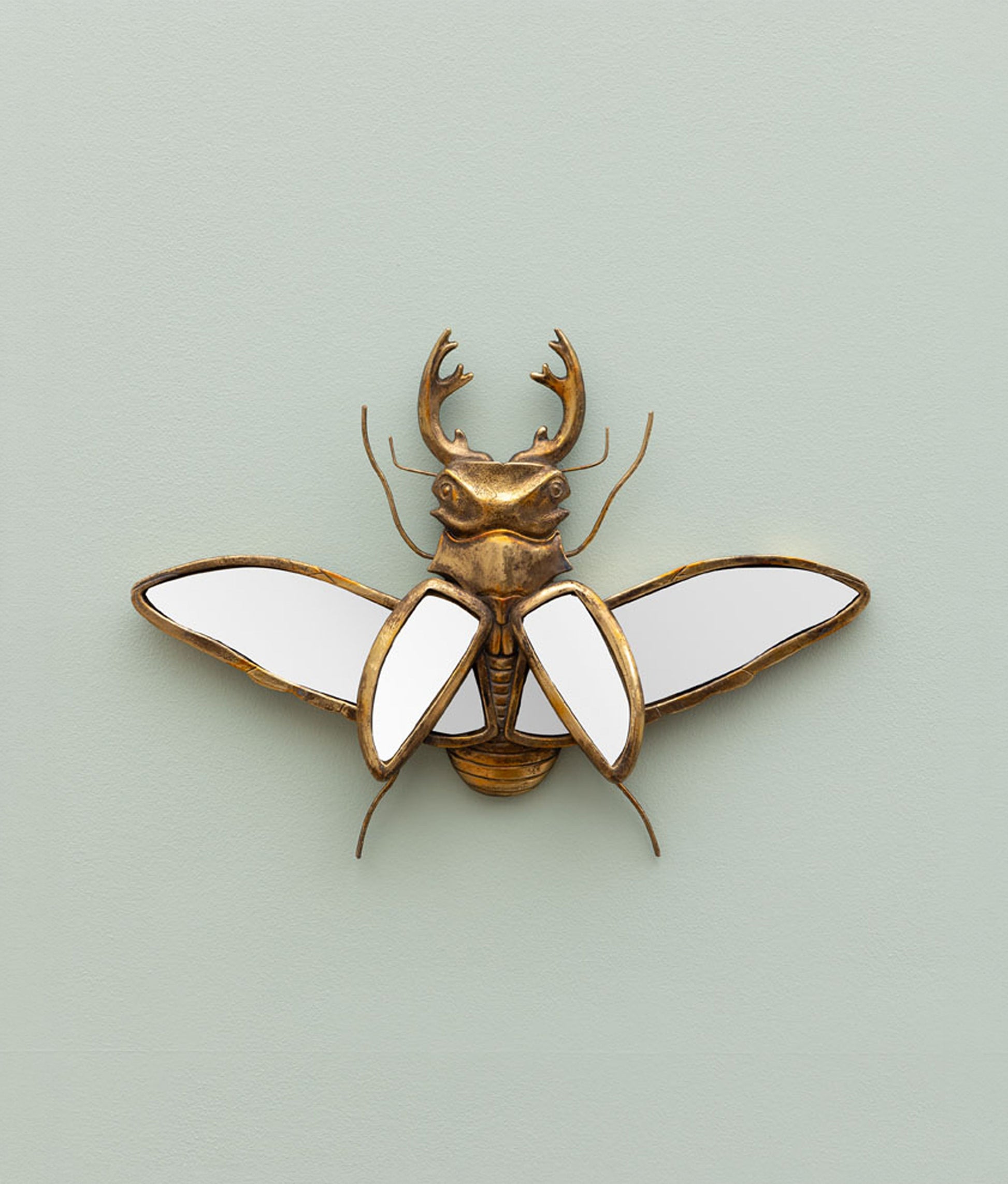 Mirrored Stag Beetle