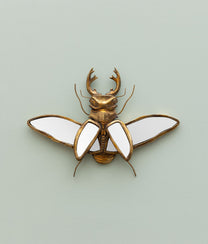 Mirrored Stag Beetle