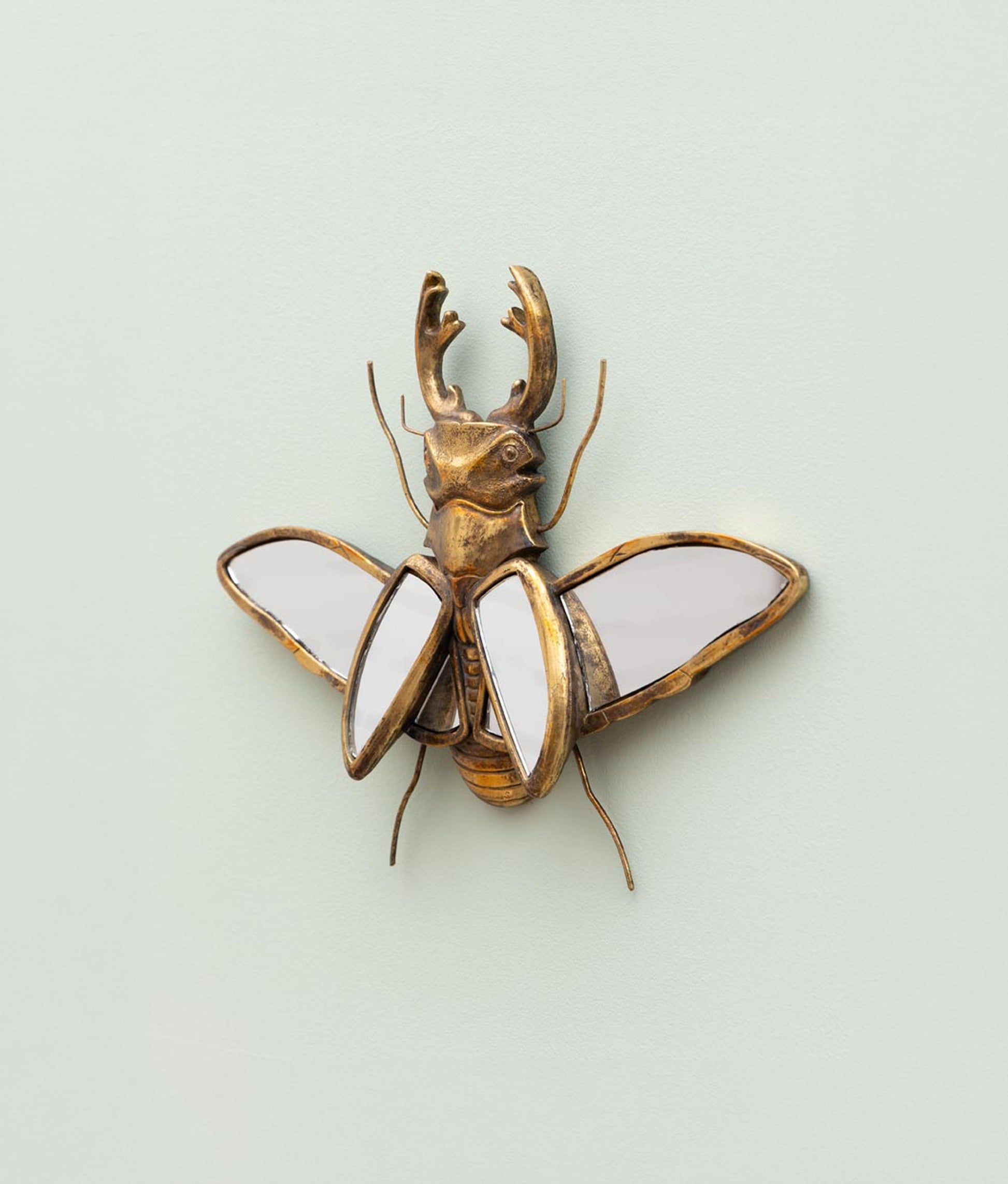 Mirrored Stag Beetle