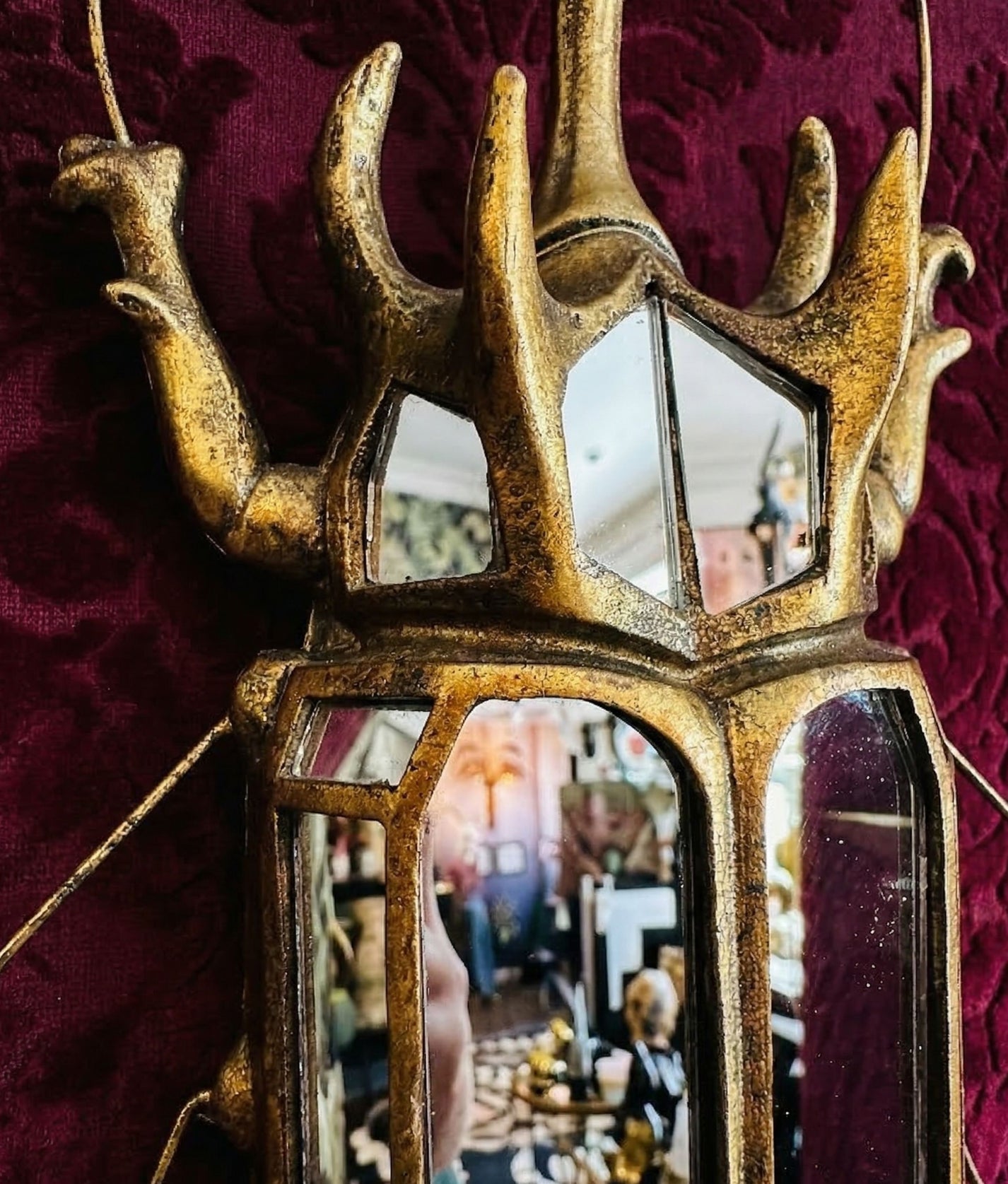 Mirrored Rhinoceros Beetle Wall Deco