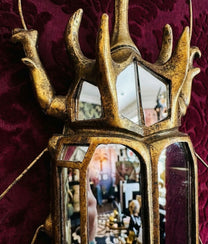 Mirrored Rhinoceros Beetle Wall Deco