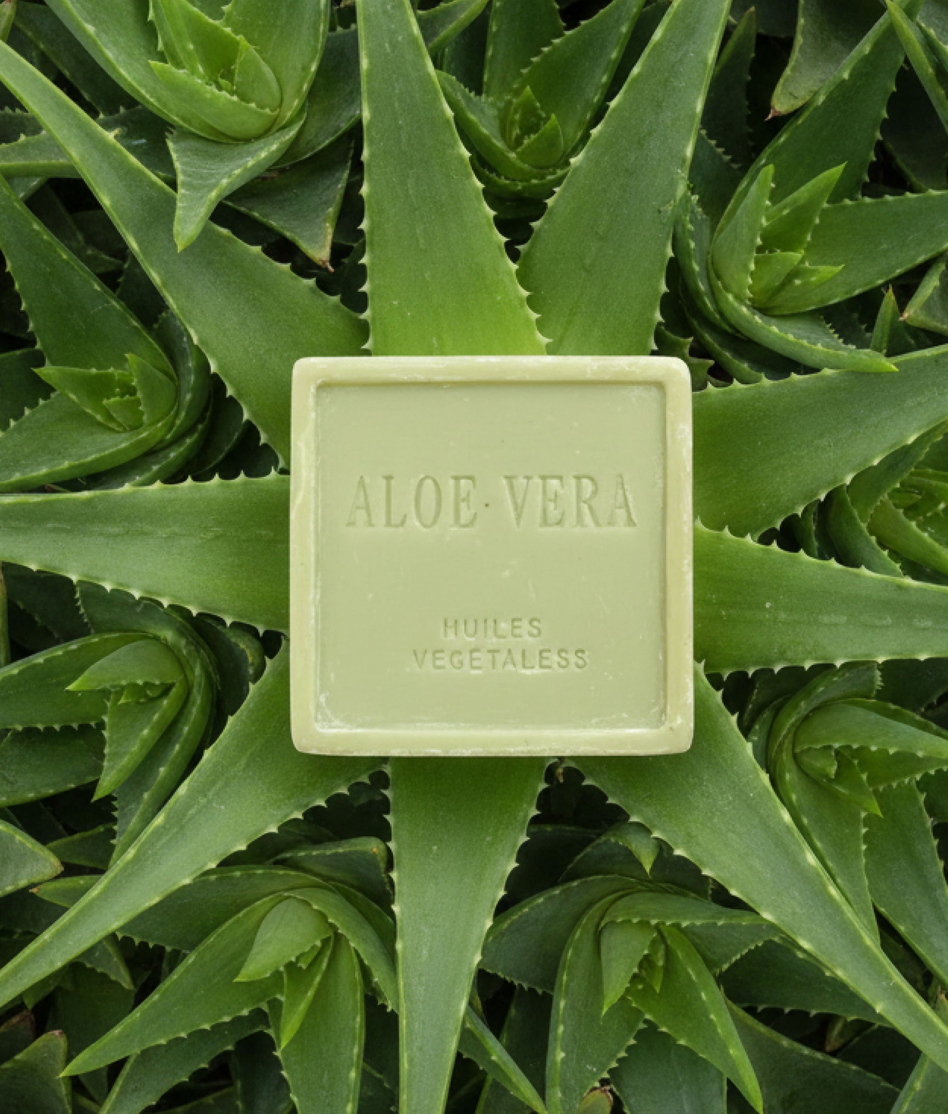 Marseille Soap Aloe Vera