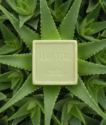 Marseille Soap Aloe Vera