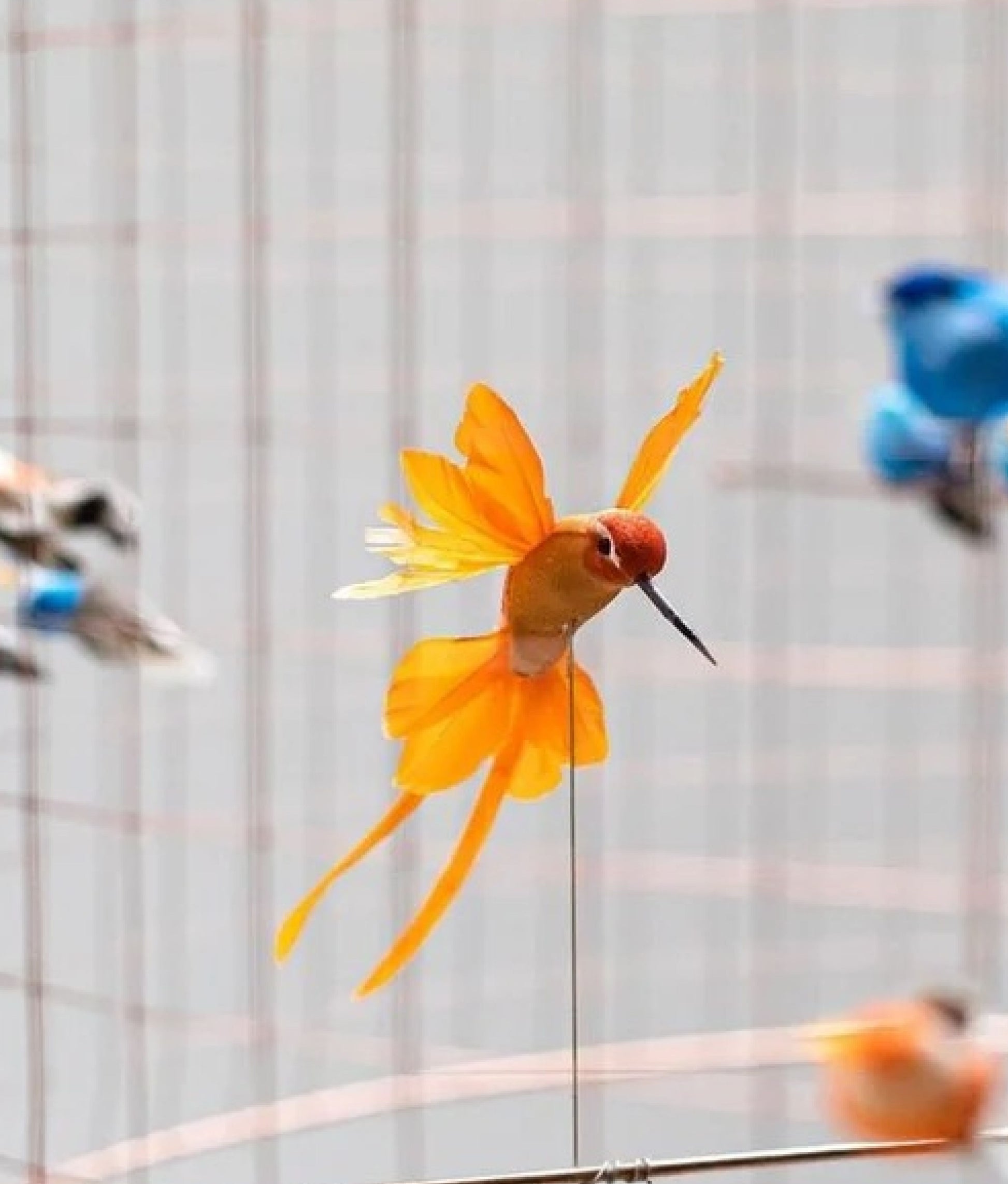 Bird Cage Chandelier