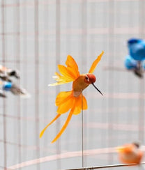 Bird Cage Chandelier