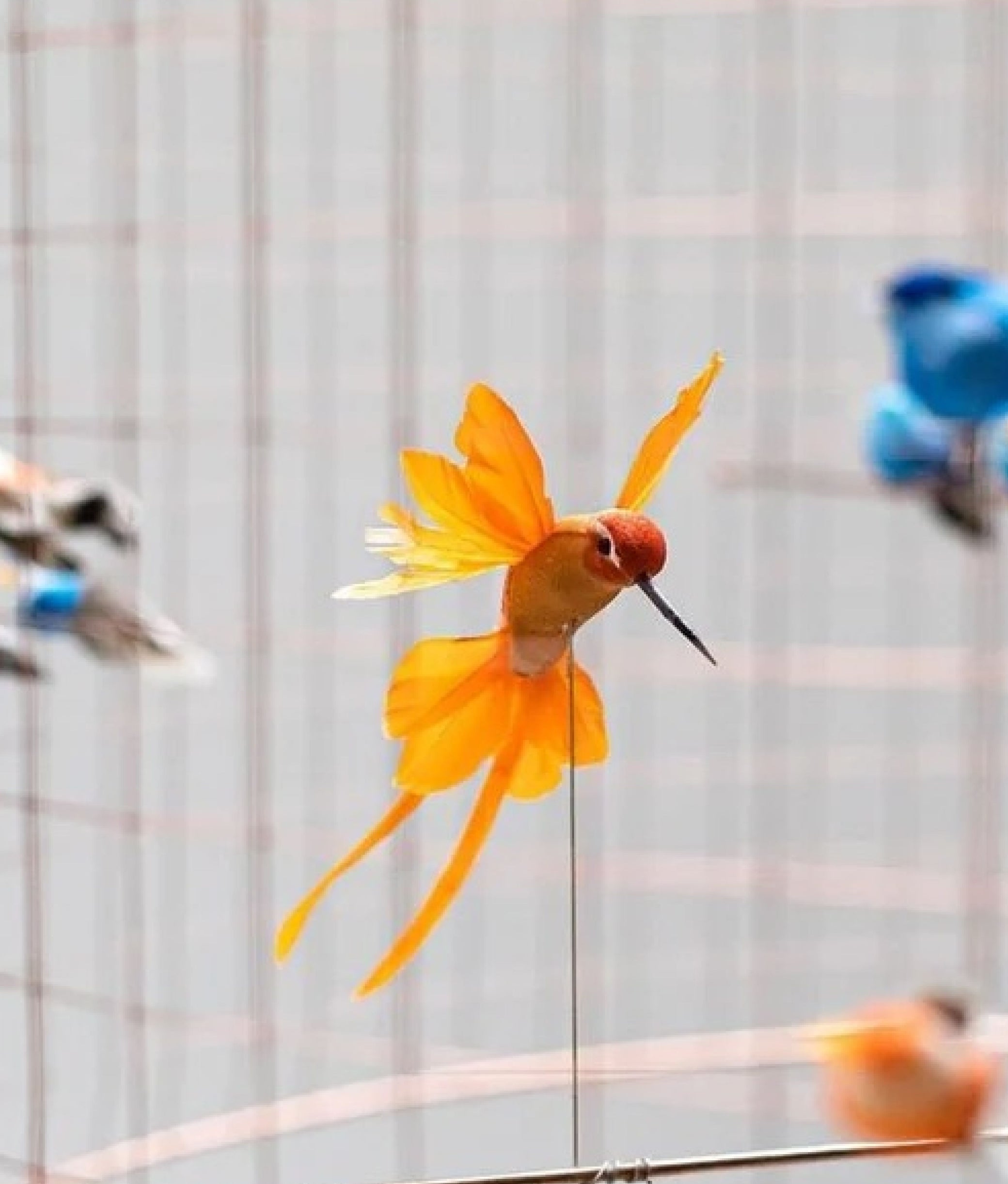 Bird Cage Chandelier
