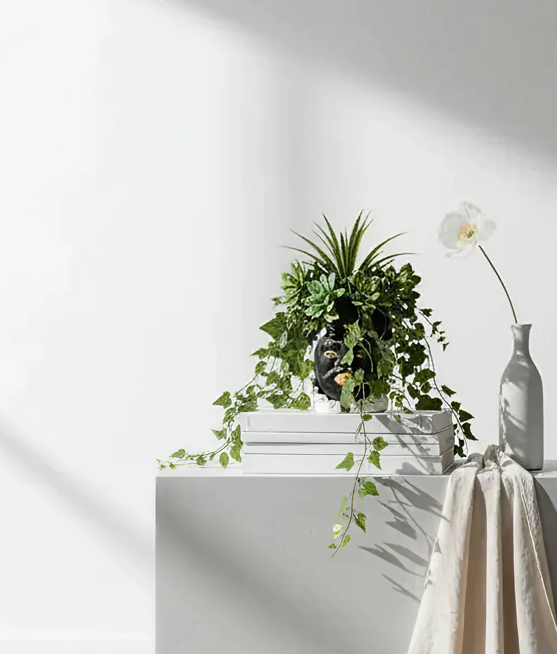Small Black Vase Moro