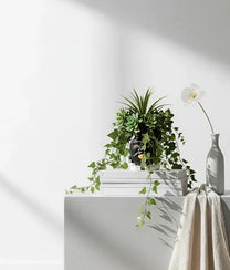 Small Black Vase Moro