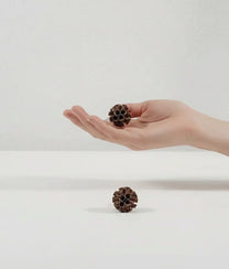 Bloom Earrings Bronze