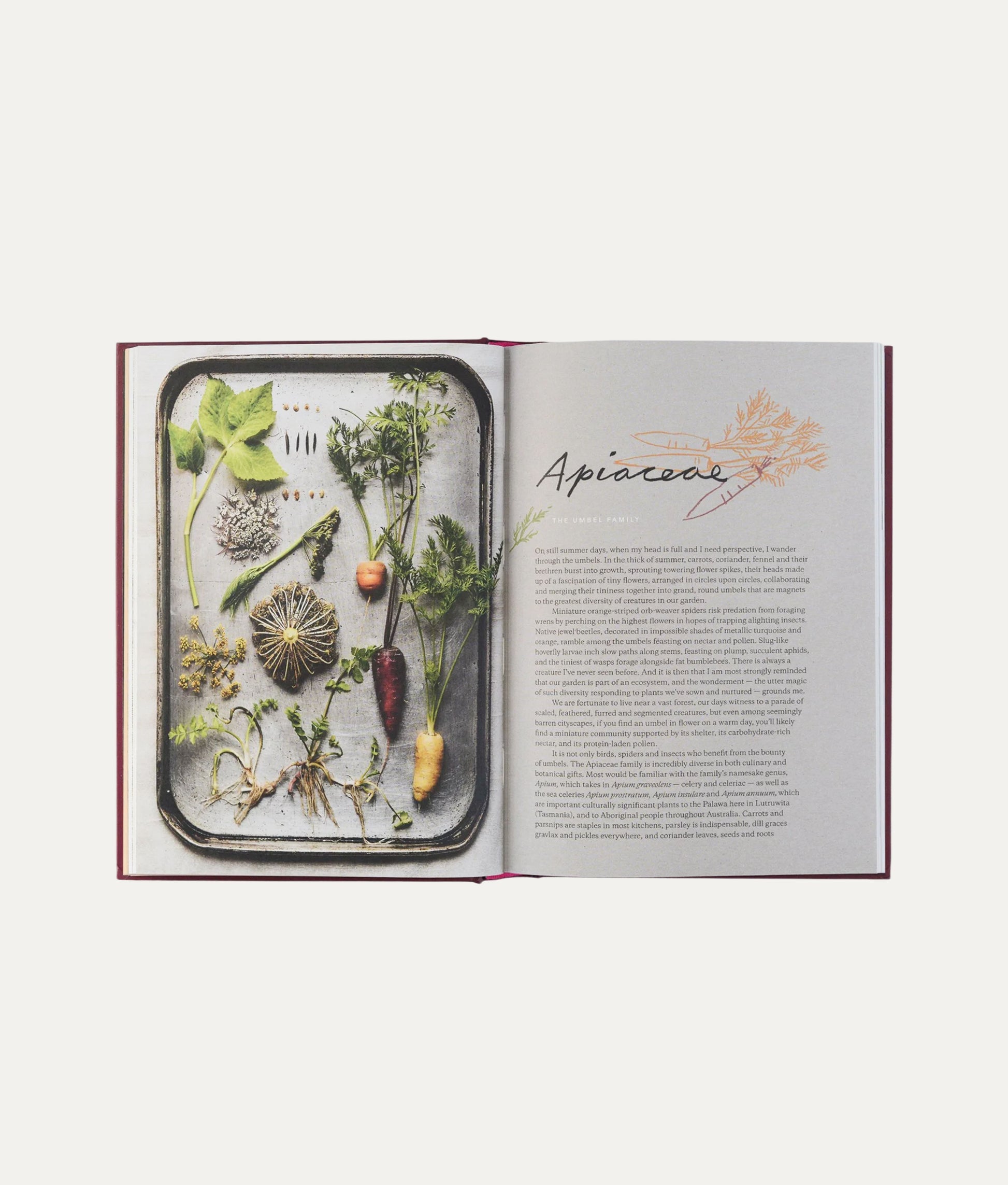 Broccoli &amp; Other Love Stories