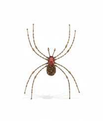 Cellar Spider Brooch