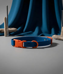 Dog Collar Blue Orange