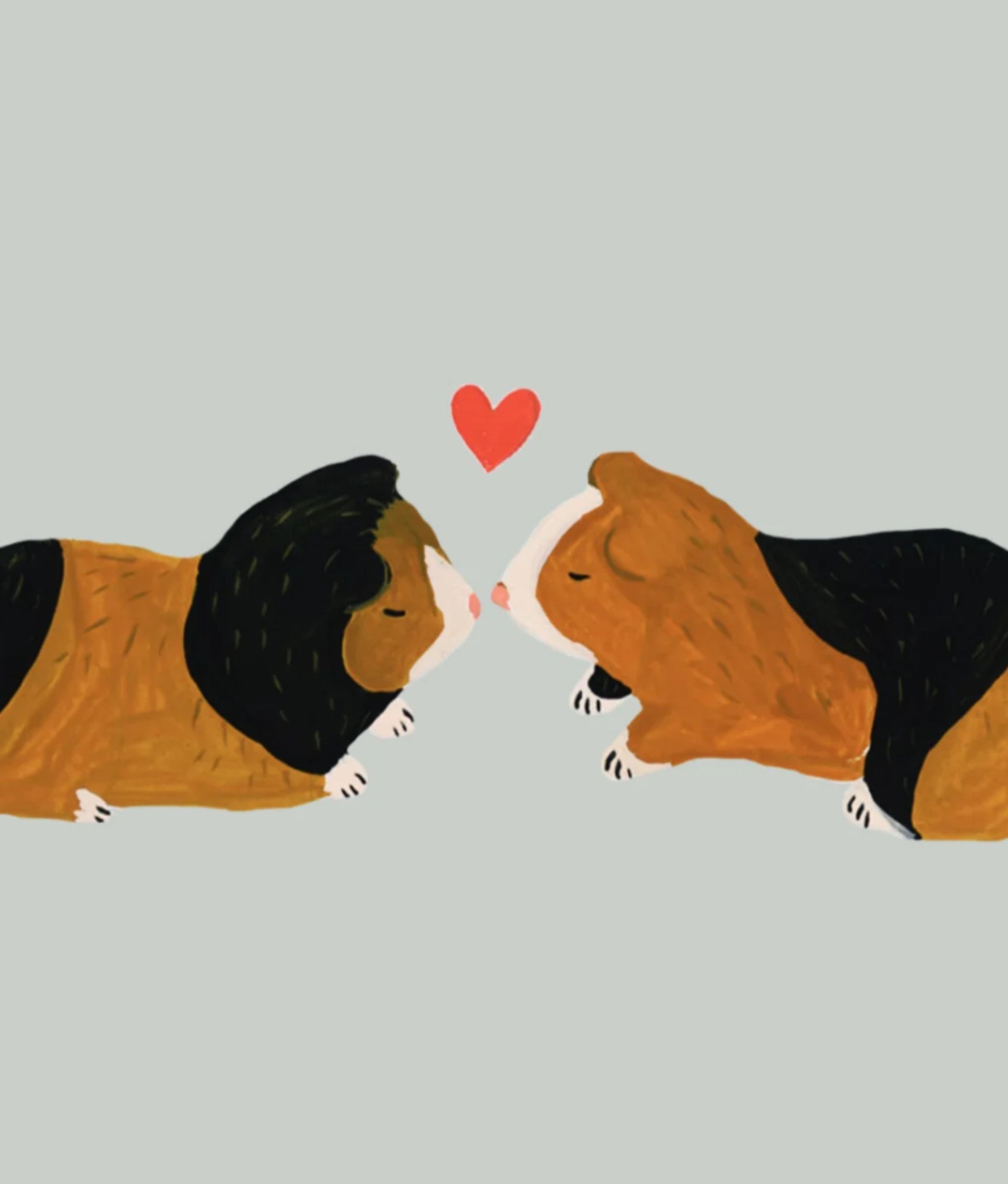 Cochons d'inde Greeting Card