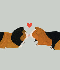 Cochons d'inde Greeting Card