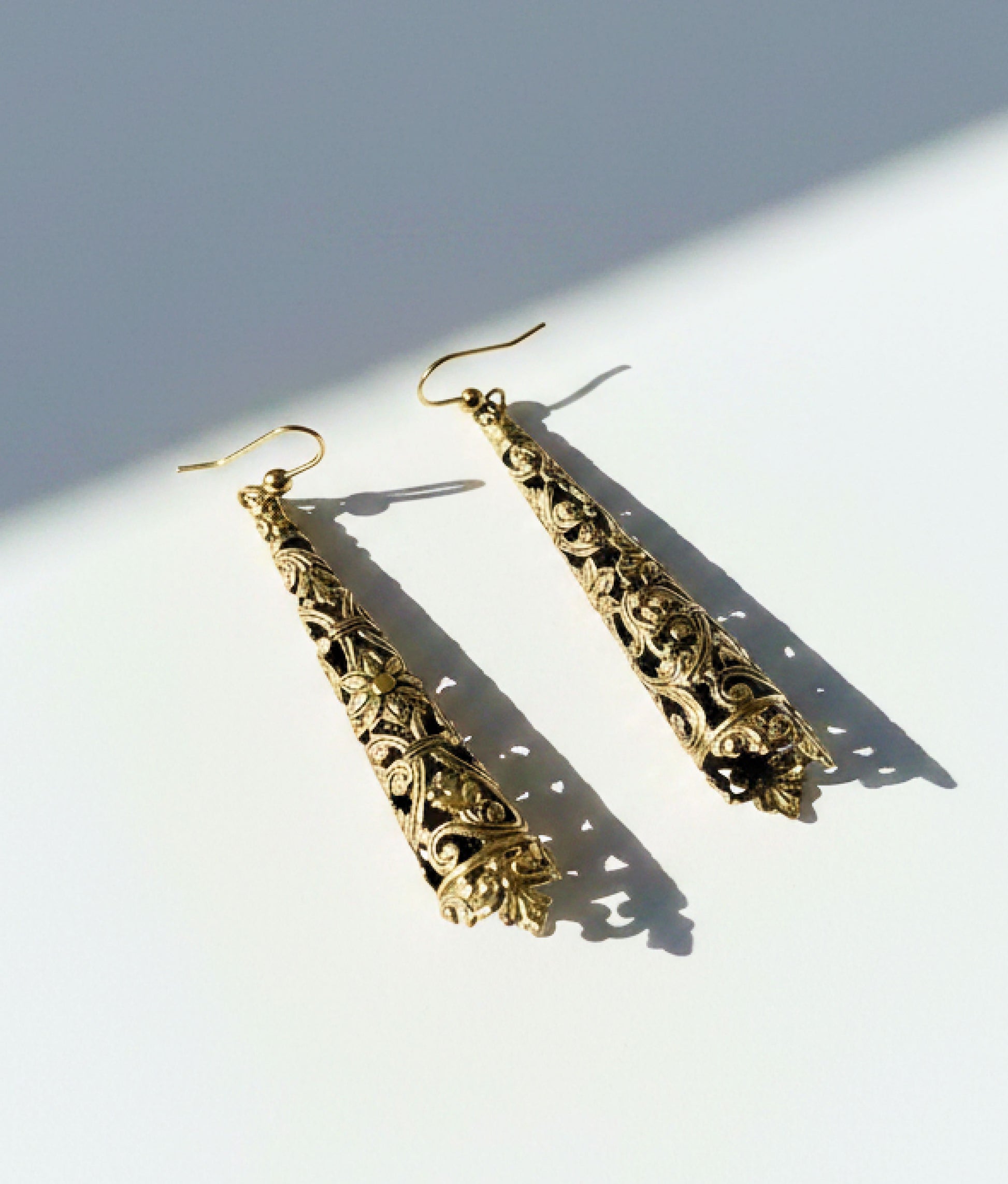 Aglets Dangle Earrings