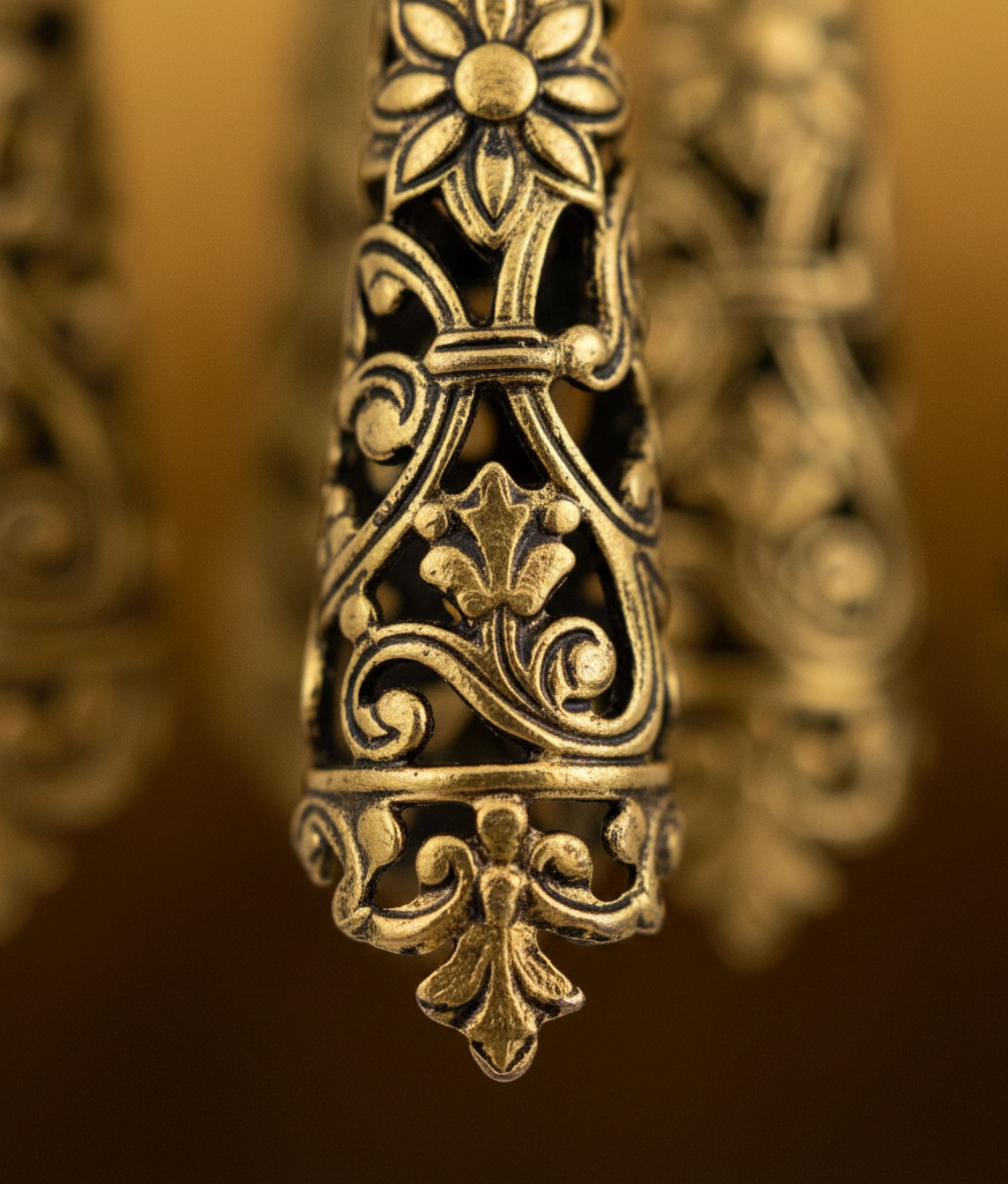 Aglets Dangle Earrings