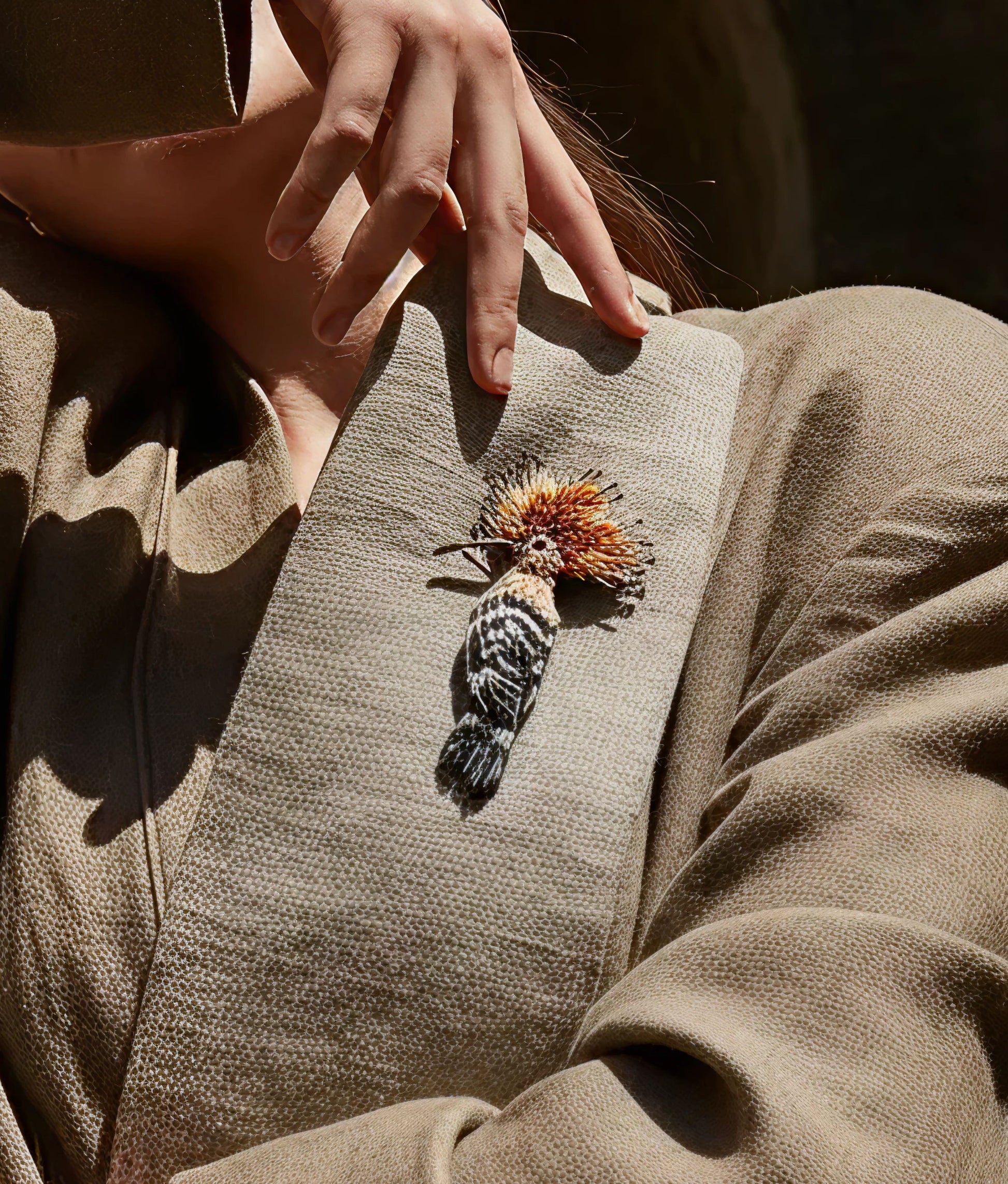 Eurasian Hoopoe Brooch