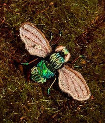 Field Bee Brooch Pin