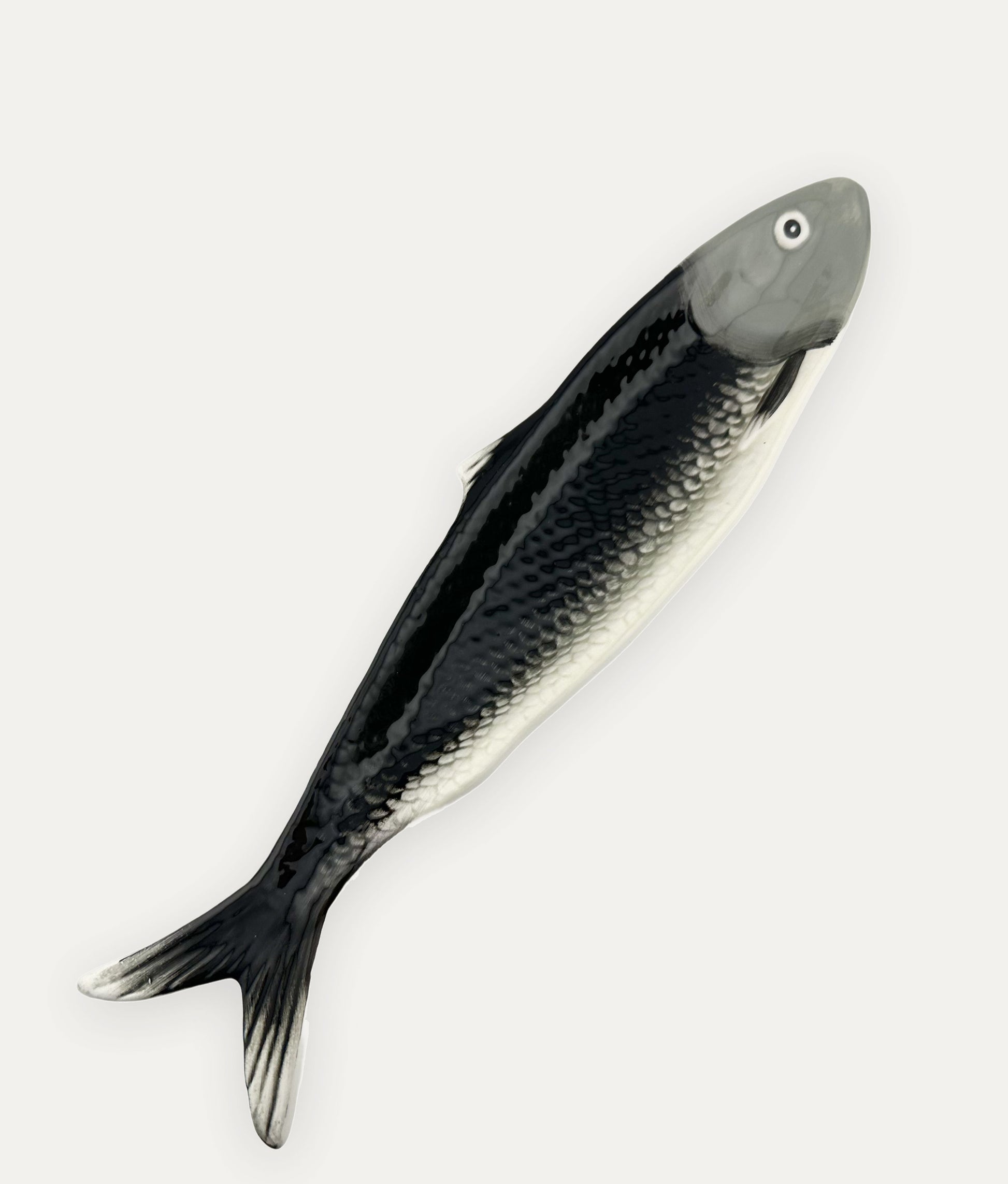 Grey Sardine Dish