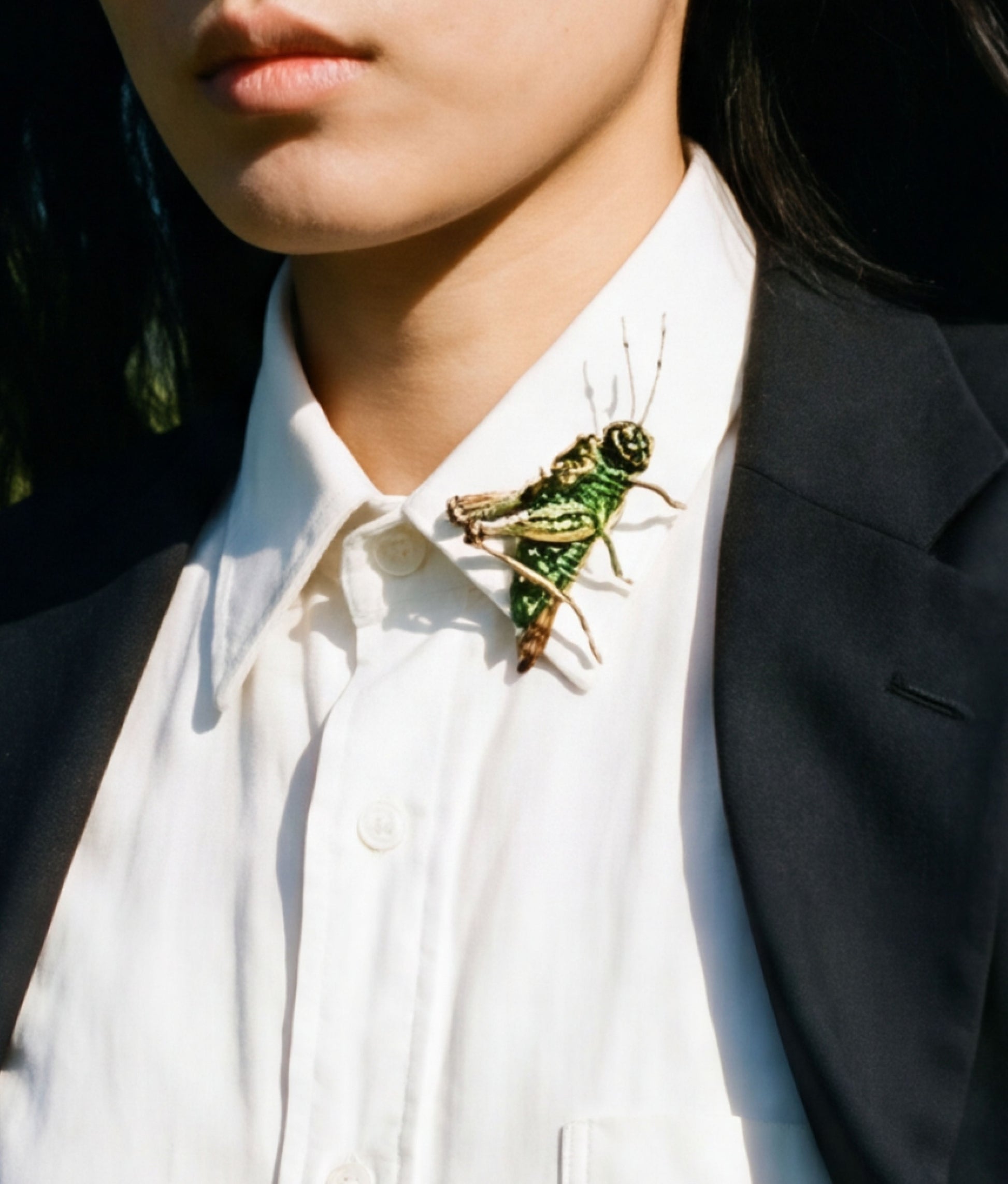 Two Stripped Grasshopper Brooch