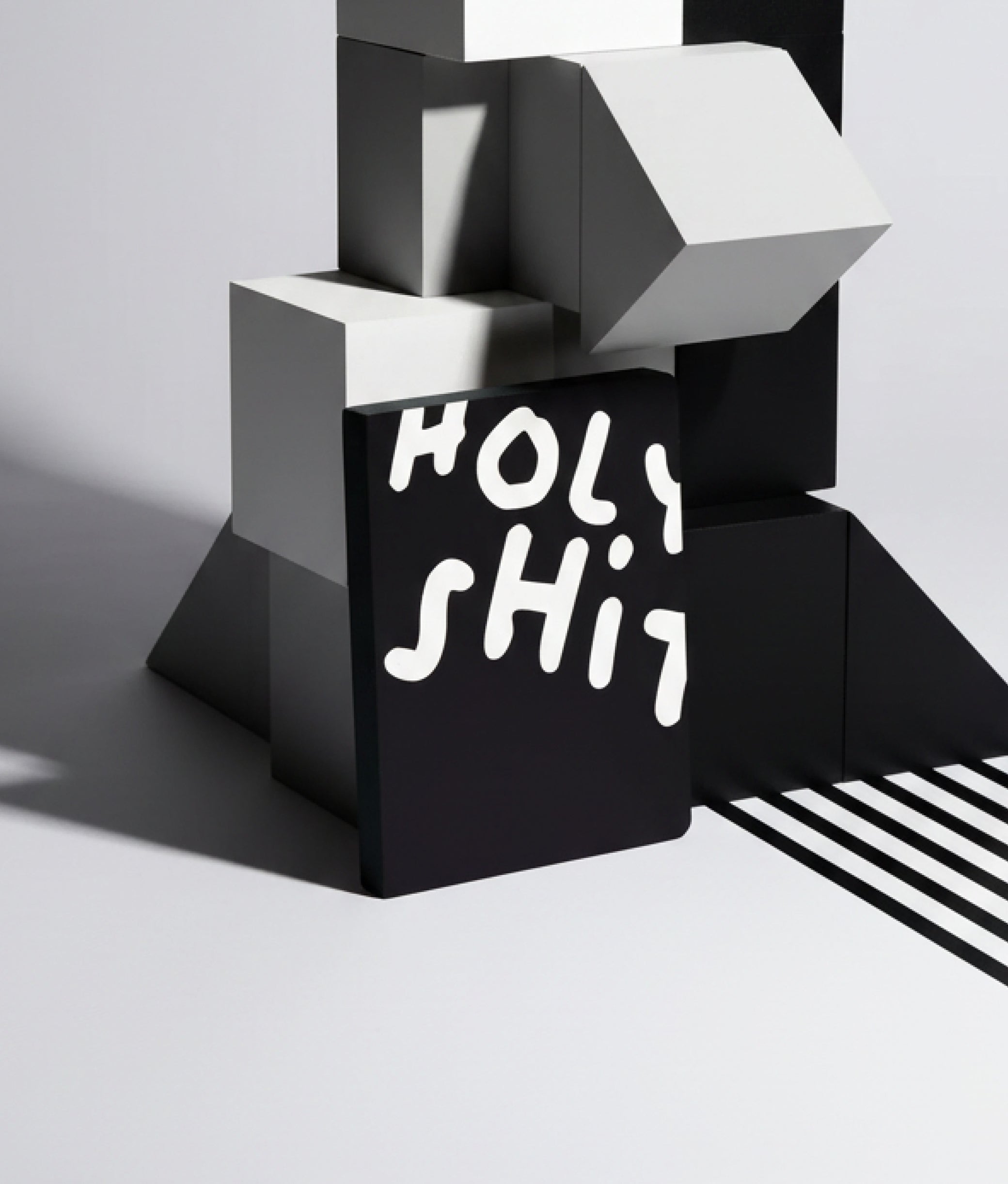 Graphic Holy Shit L Notebook