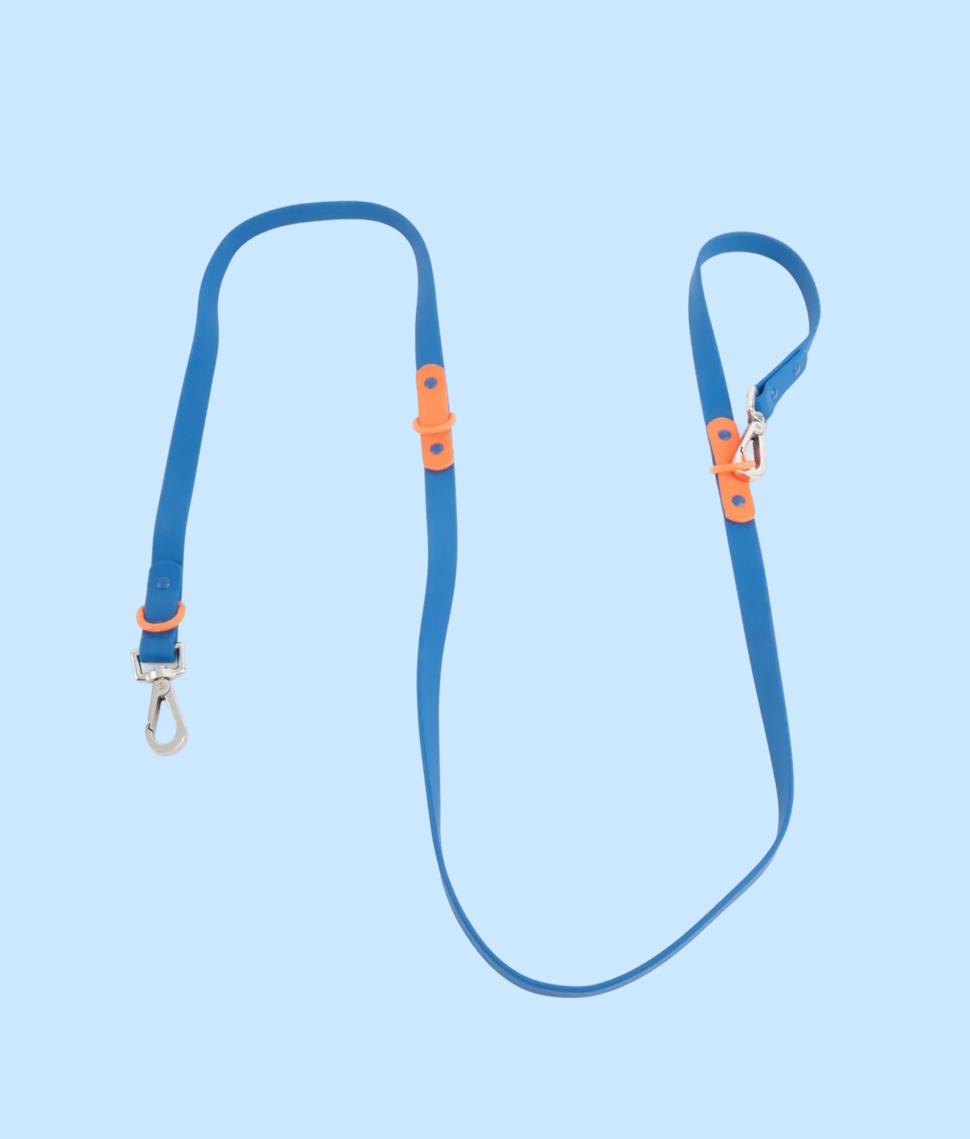 Dog Leash Blue Orange