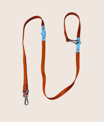 Dog Leash Choco Blue