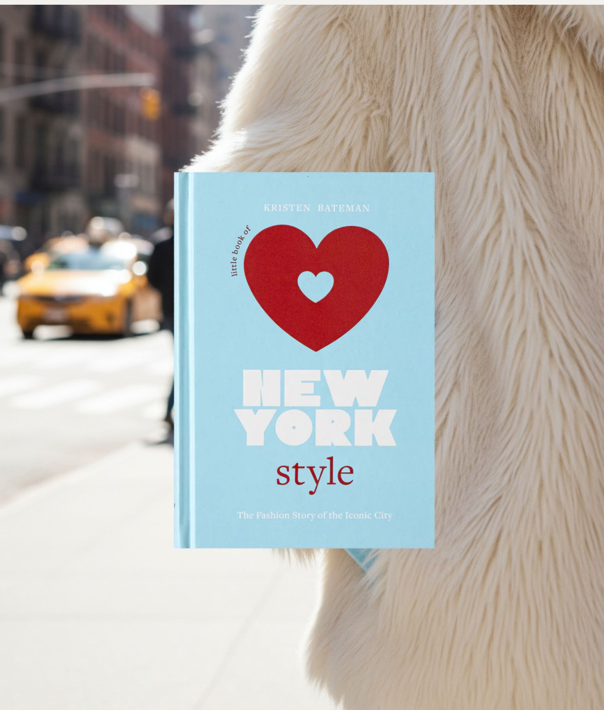 Little Book of New York Style
