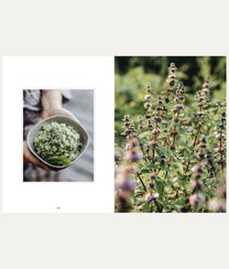 Living with Herbs Book