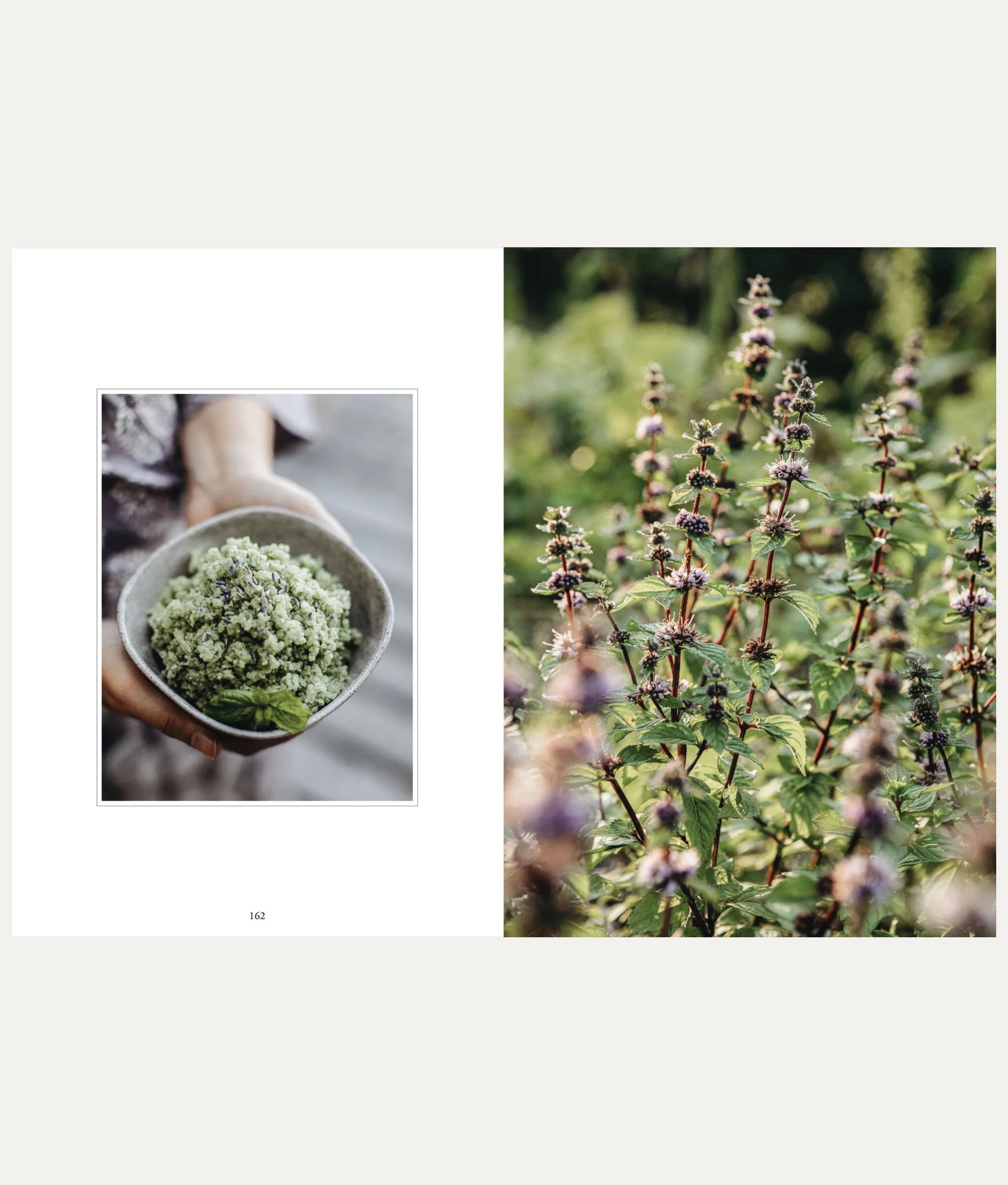 Living with Herbs Book