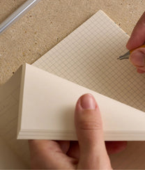 L'oiseau Journal
