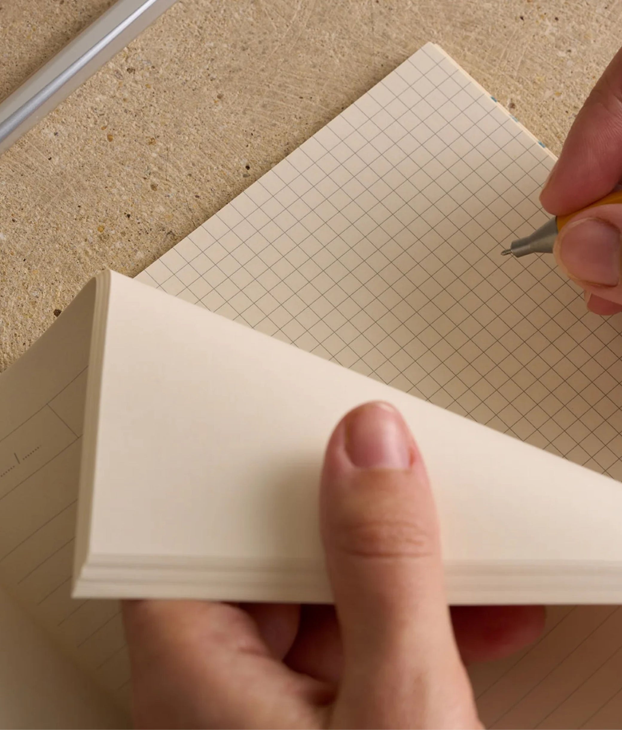 L'oiseau Journal