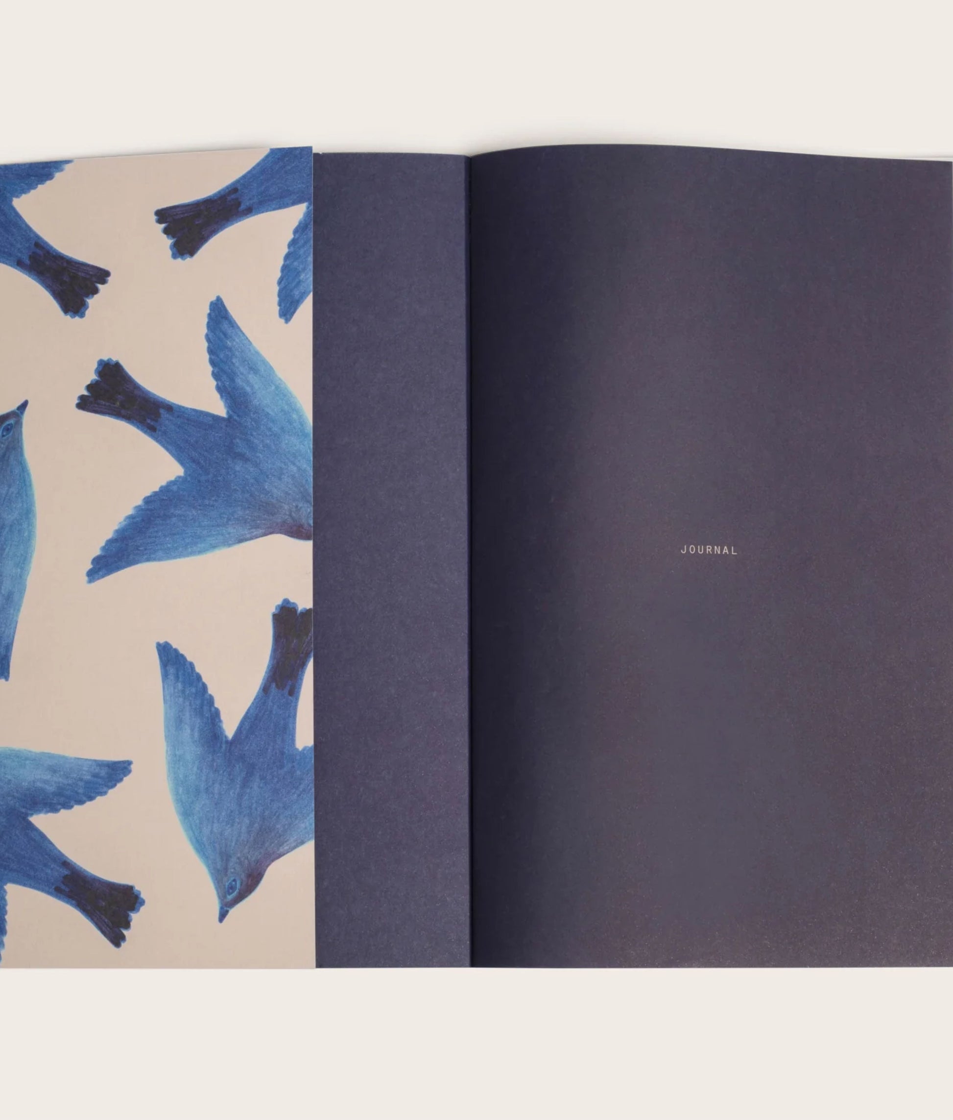 L'oiseau Journal