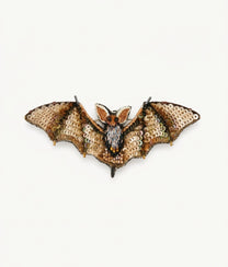 Long Eared Bat Trovelore Brooch