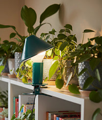 Emerald Clip Mushroom Lamp