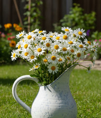 Noelle Glazed Jug