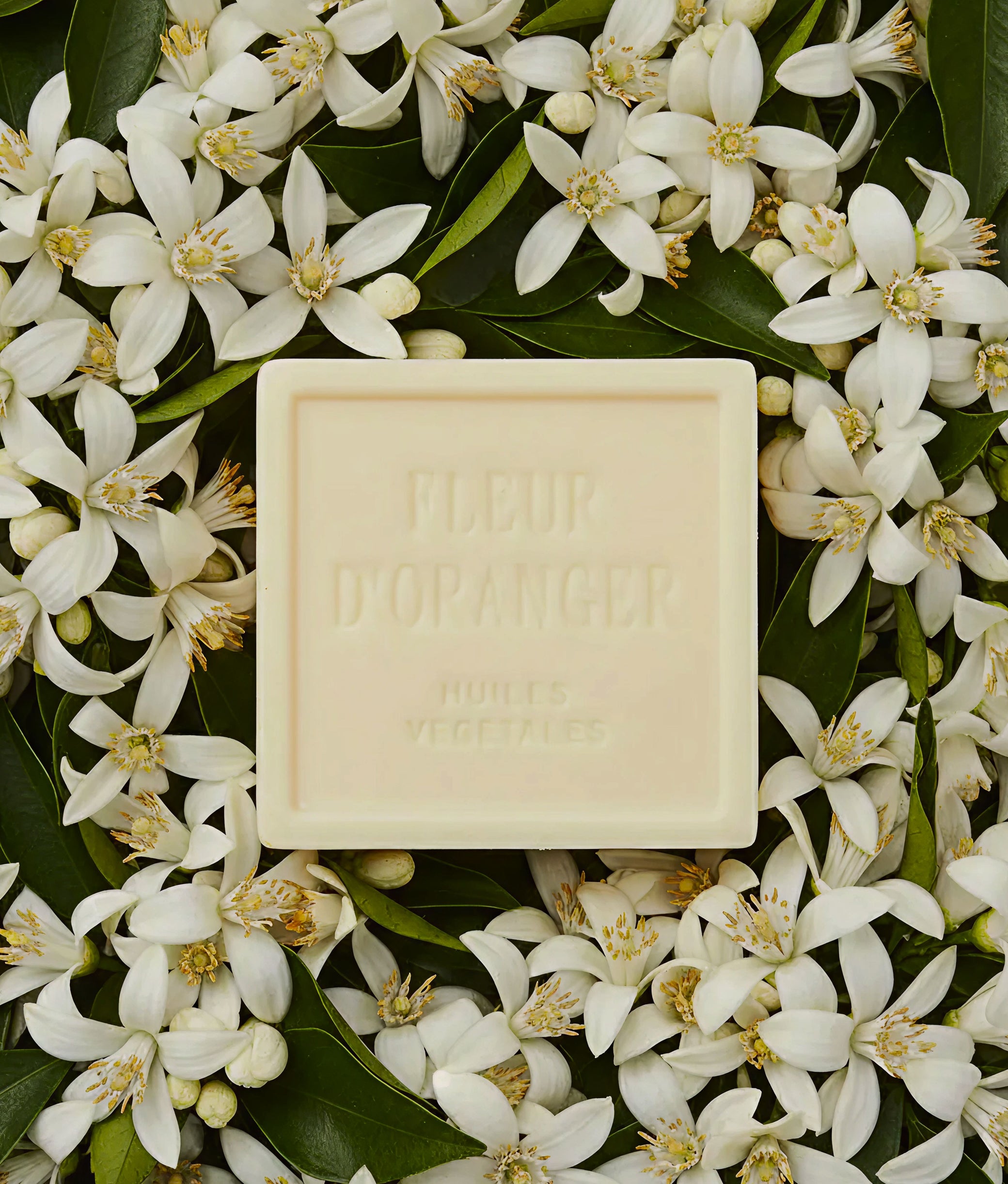 Marseille Soap Orange