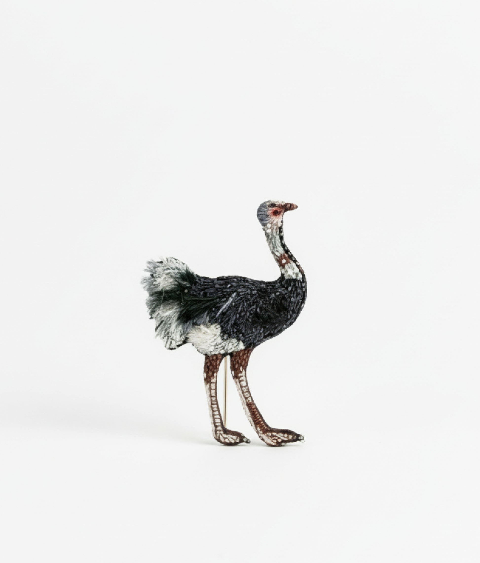 Common Ostrich Trovelore Brooch