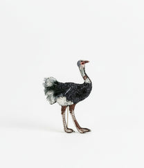 Common Ostrich Trovelore Brooch