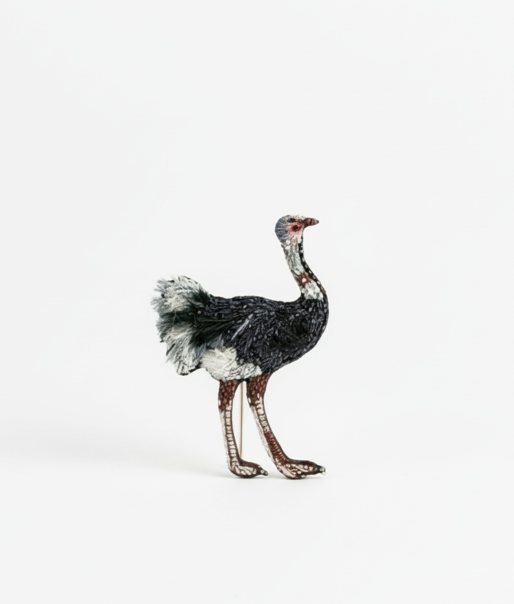 Common Ostrich Trovelore Brooch
