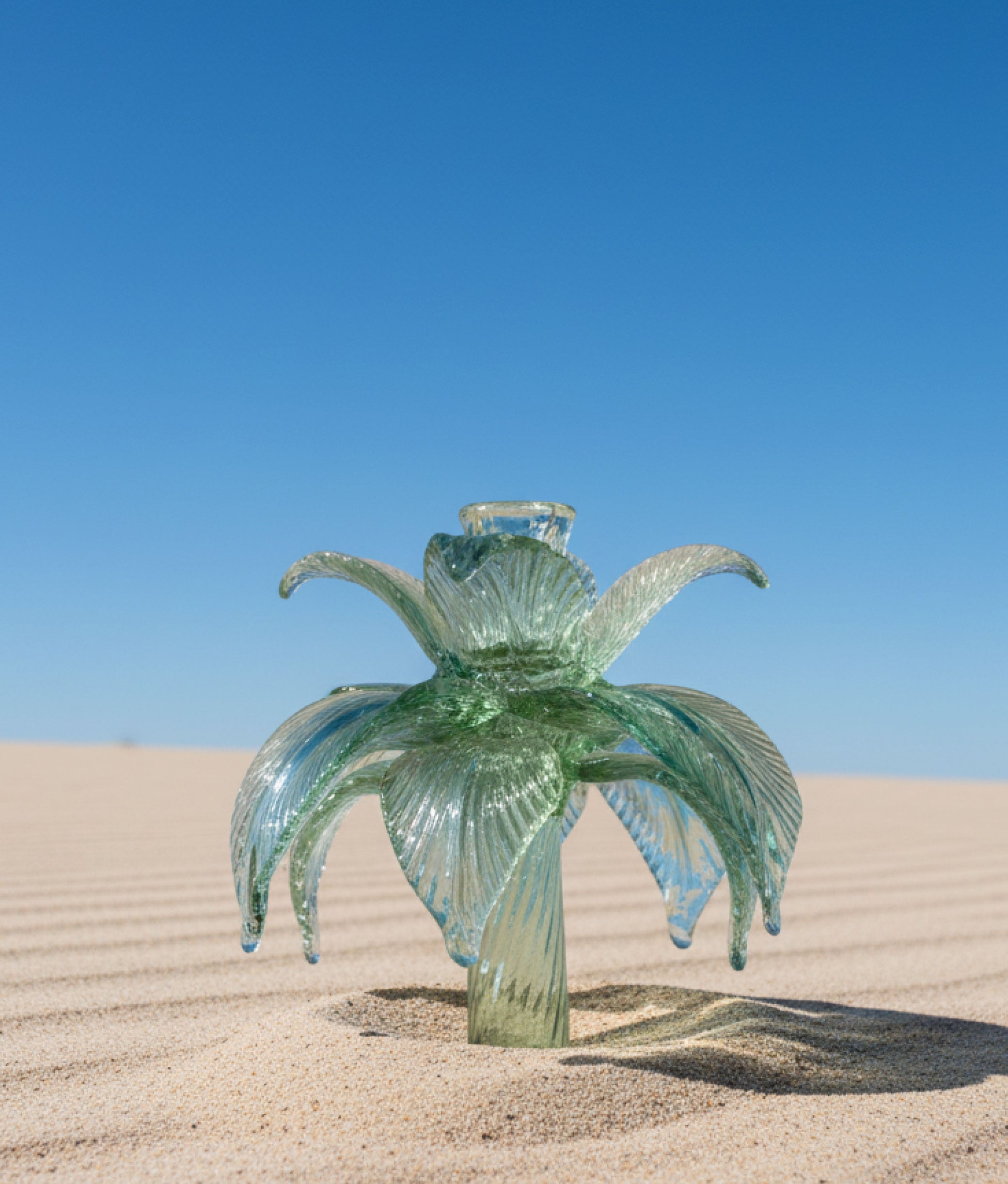Large Palm Candle Stand