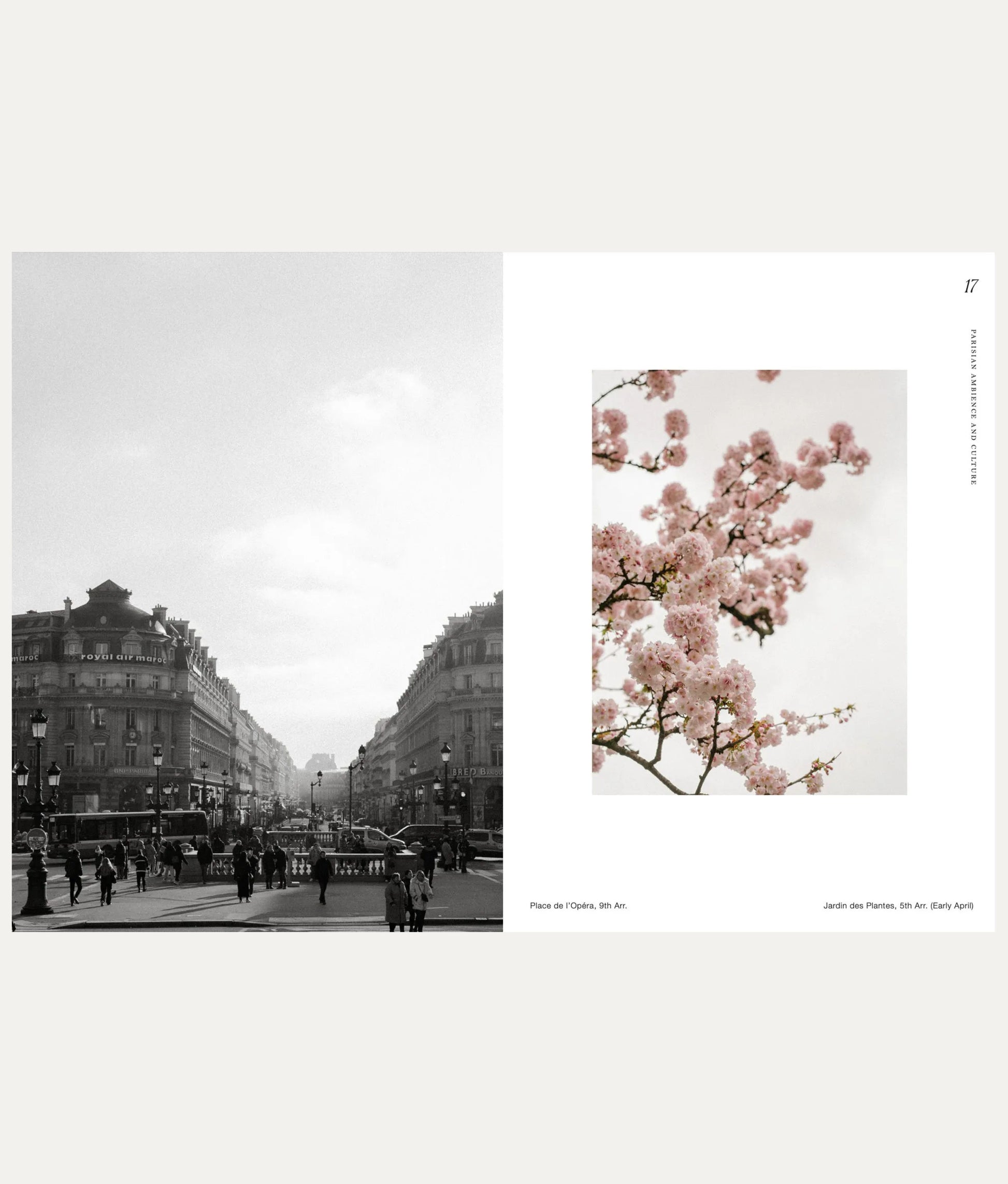 Paris: Dreamy Tips for the City of Love