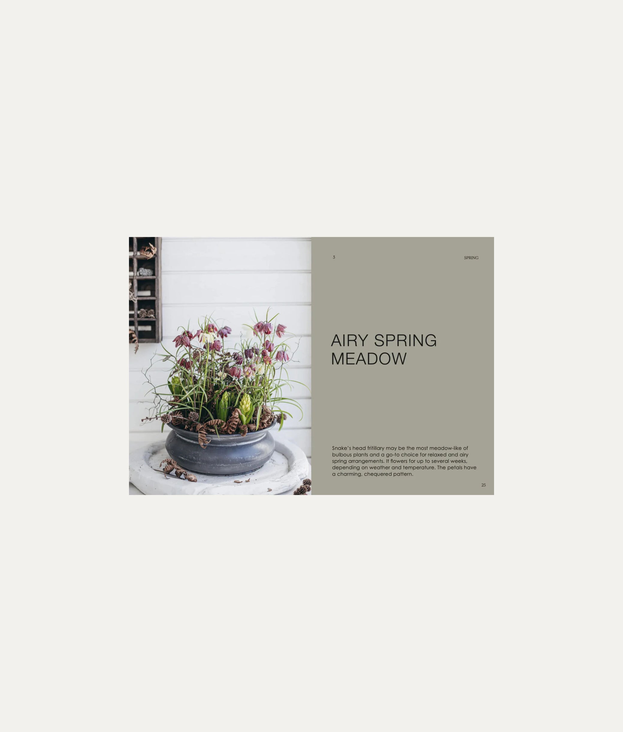The Potted Garden