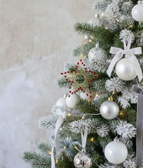 Red Star Ornament